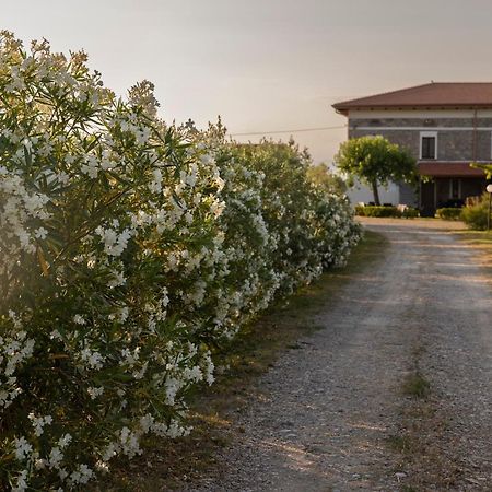 Agri Charme Tenuta Picilli Albanella Esterno foto