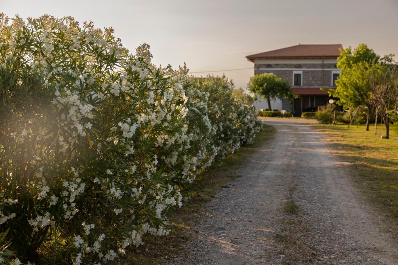 Agri Charme Tenuta Picilli Albanella Esterno foto